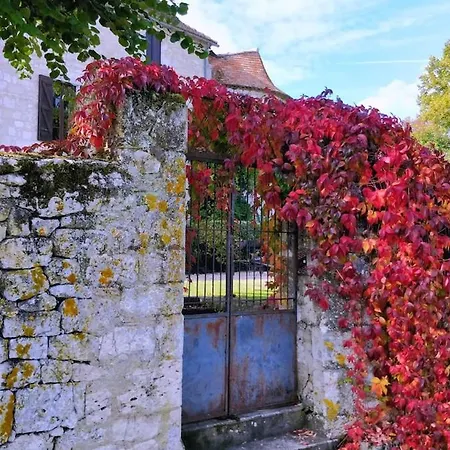 Chateau De فيلة Sadillac