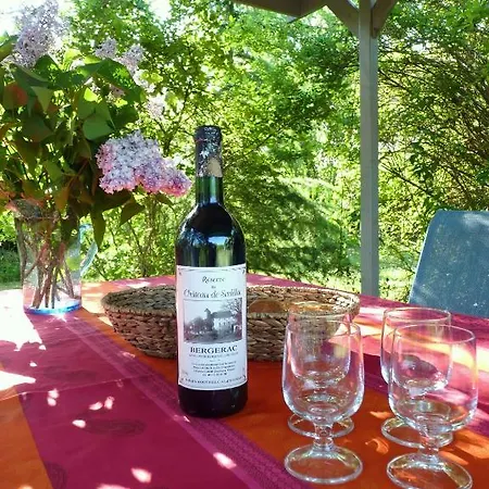 Chateau De فيلة Sadillac