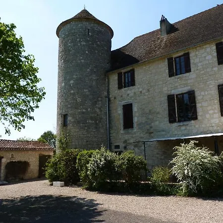 فيلة Chateau De *