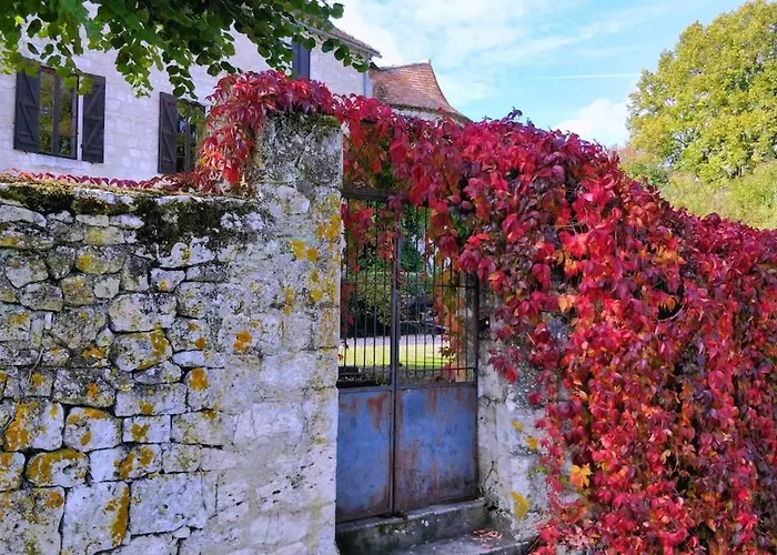 Chateau De Villa Sadillac